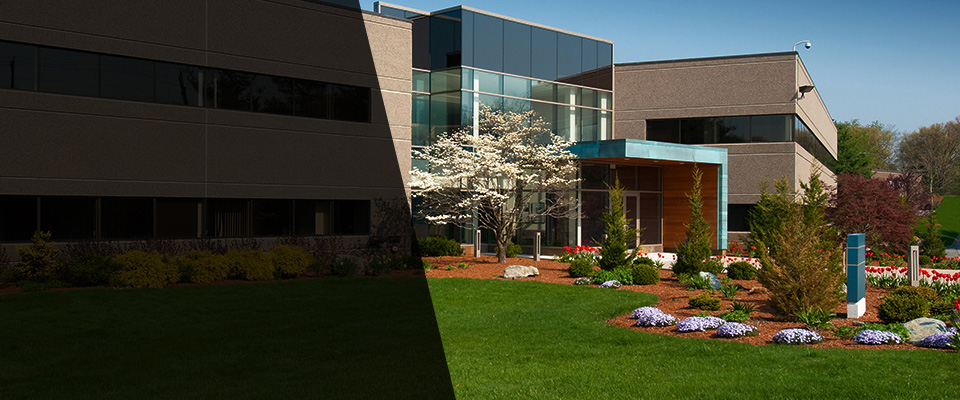 Beverly Landscapers