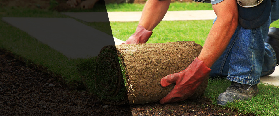 Beverly Landscapers